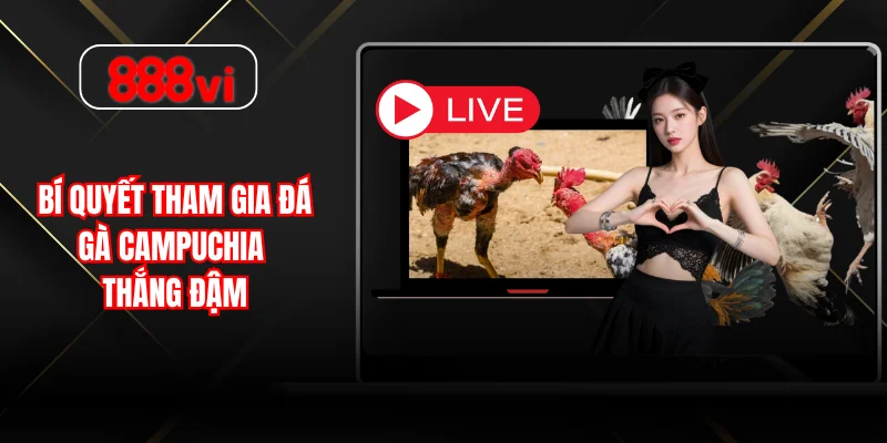 Bí quyết tham gia đá gà campuchia thắng đậm 