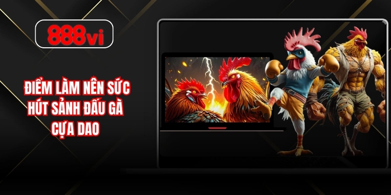 Điểm làm nên sức hút sảnh đấu gà cựa dao 