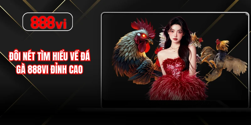 Đôi nét tìm hiểu về đá gà 888VI đỉnh cao