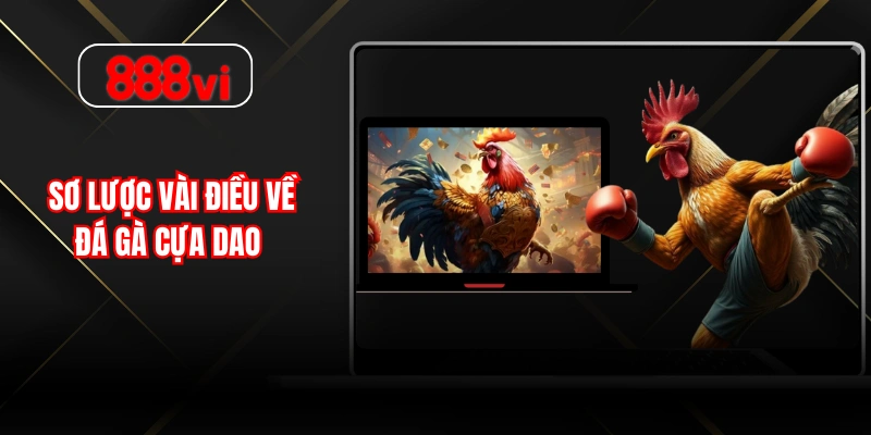 Sơ lược vài điều về đá gà cựa dao 